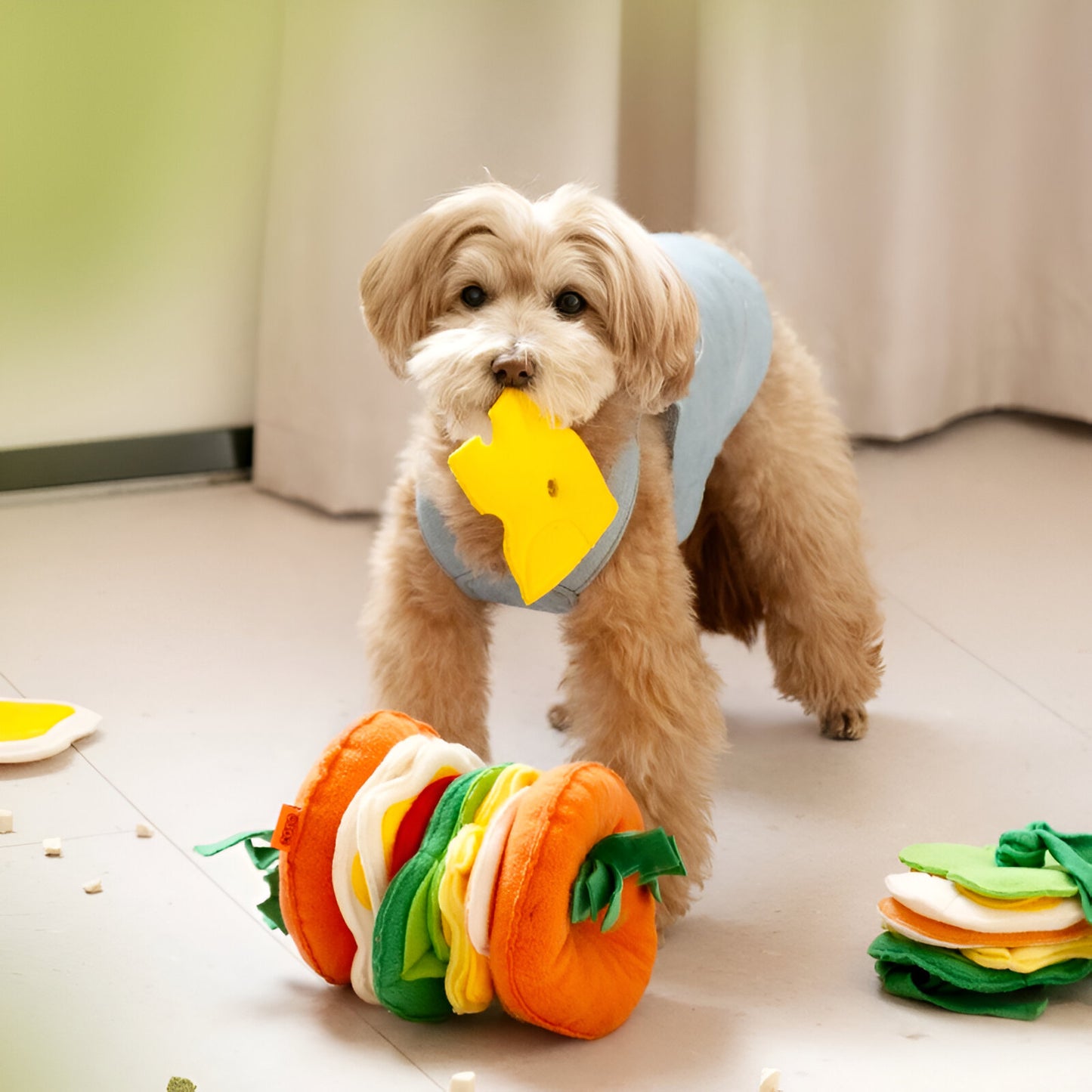 WoofBurger Dogs Training Toy