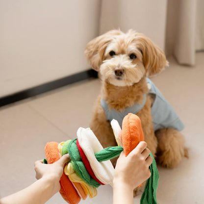 WoofBurger Dogs Training Toy