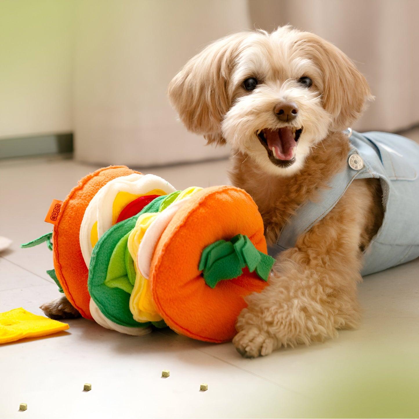 WoofBurger Dogs Training Toy